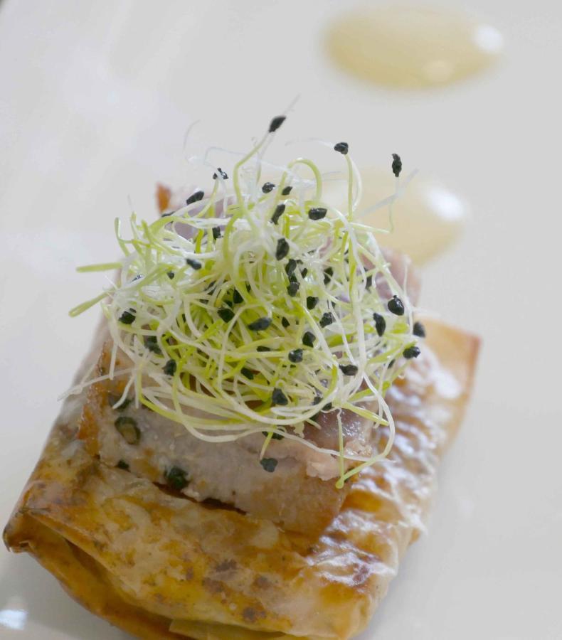 La Planette Panzió Aussonne Kültér fotó